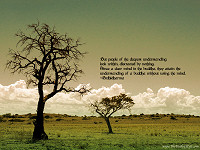 Tree - Bodhidharma - Clear Mind