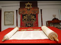 Torah Scroll - Speak
