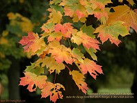 Change to Changeless